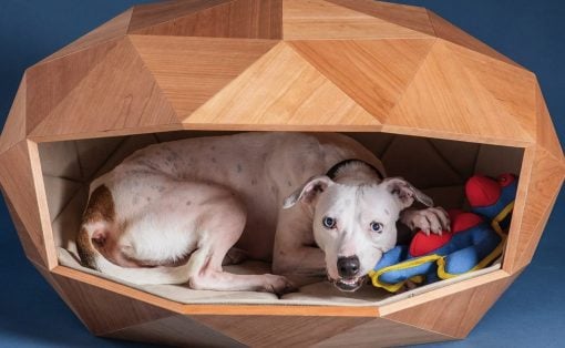 Foster Partners Dome Home Dog Kennel Concept Entry 2